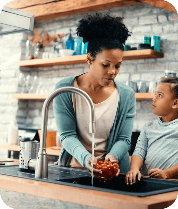 Place Your Order Choicing Menu