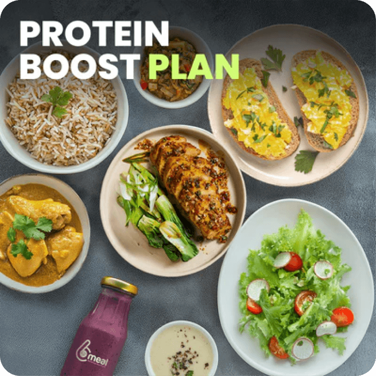 PROTEIN BOOST PLAN